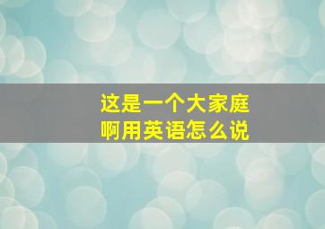 这是一个大家庭啊用英语怎么说