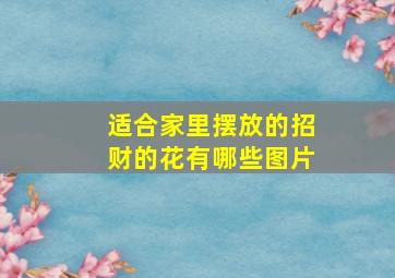 适合家里摆放的招财的花有哪些图片