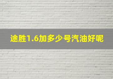 途胜1.6加多少号汽油好呢