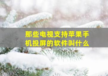 那些电视支持苹果手机投屏的软件叫什么