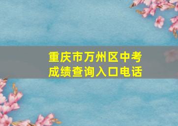 重庆市万州区中考成绩查询入口电话