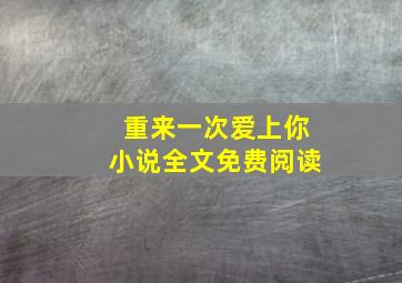 重来一次爱上你小说全文免费阅读