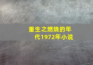 重生之燃烧的年代1972年小说