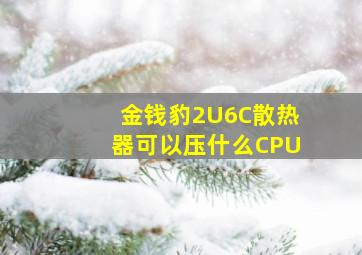 金钱豹2U6C散热器可以压什么CPU