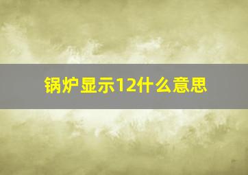 锅炉显示12什么意思