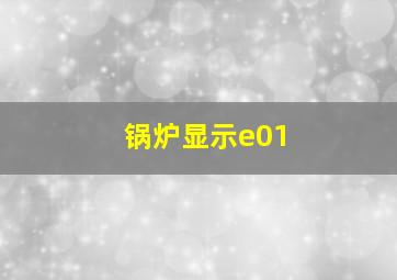 锅炉显示e01