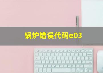 锅炉错误代码e03