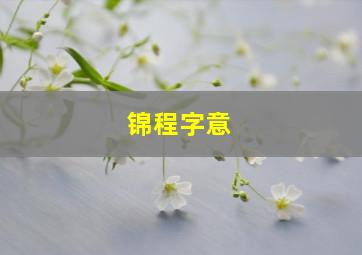 锦程字意