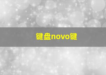 键盘novo键