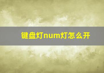 键盘灯num灯怎么开