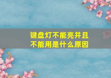 键盘灯不能亮并且不能用是什么原因