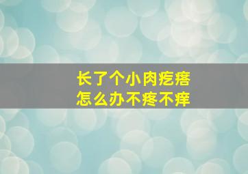 长了个小肉疙瘩怎么办不疼不痒