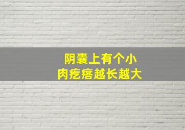 阴囊上有个小肉疙瘩越长越大