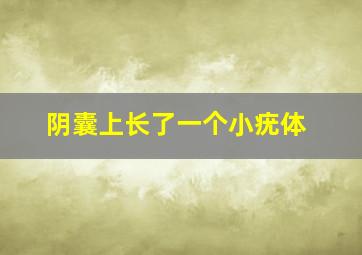 阴囊上长了一个小疣体