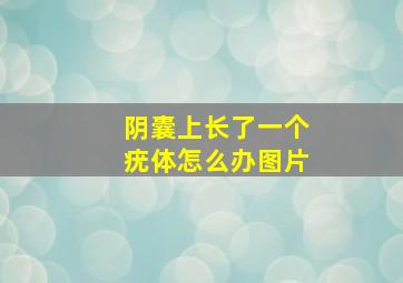 阴囊上长了一个疣体怎么办图片