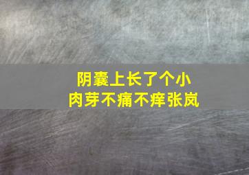 阴囊上长了个小肉芽不痛不痒张岚