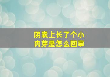 阴囊上长了个小肉芽是怎么回事