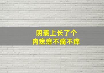 阴囊上长了个肉疙瘩不痛不痒