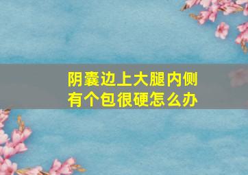 阴囊边上大腿内侧有个包很硬怎么办