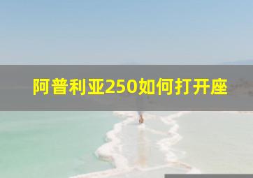 阿普利亚250如何打开座