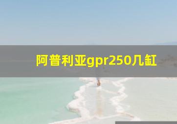 阿普利亚gpr250几缸