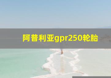 阿普利亚gpr250轮胎