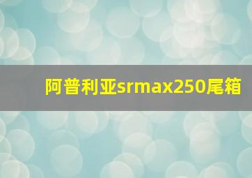 阿普利亚srmax250尾箱