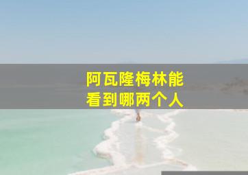 阿瓦隆梅林能看到哪两个人