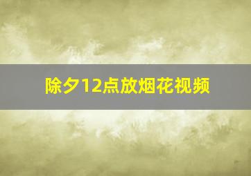 除夕12点放烟花视频