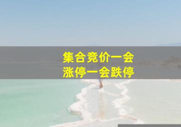 集合竞价一会涨停一会跌停