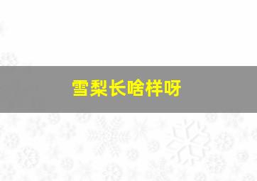 雪梨长啥样呀