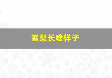 雪梨长啥样子