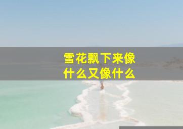 雪花飘下来像什么又像什么