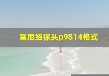 雷尼绍探头p9814格式