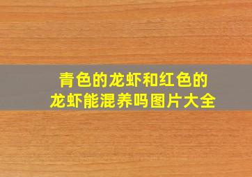 青色的龙虾和红色的龙虾能混养吗图片大全