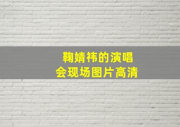 鞠婧祎的演唱会现场图片高清