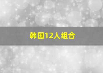 韩国12人组合