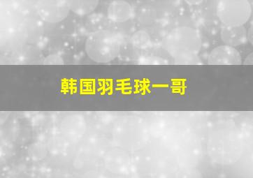 韩国羽毛球一哥