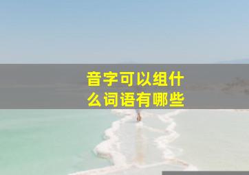 音字可以组什么词语有哪些