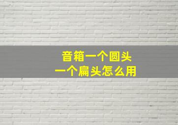 音箱一个圆头一个扁头怎么用