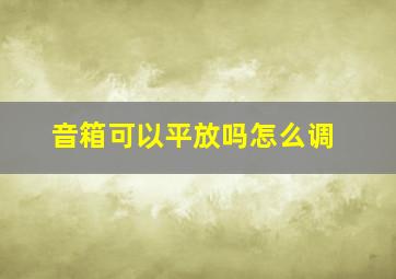 音箱可以平放吗怎么调