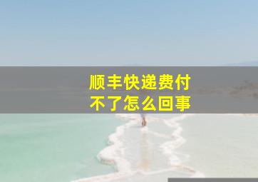 顺丰快递费付不了怎么回事