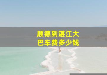 顺德到湛江大巴车费多少钱