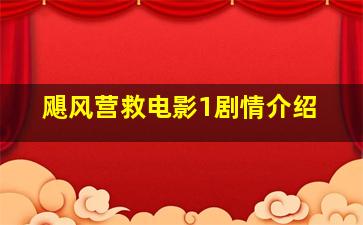 飓风营救电影1剧情介绍