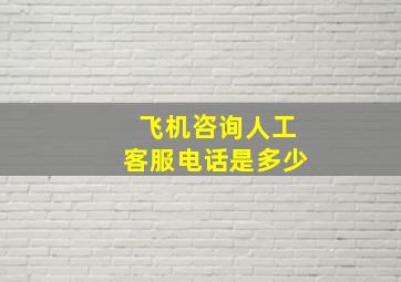 飞机咨询人工客服电话是多少