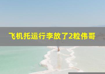 飞机托运行李放了2粒伟哥