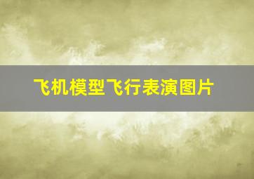 飞机模型飞行表演图片