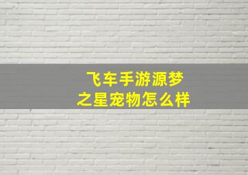 飞车手游源梦之星宠物怎么样