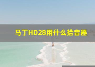 马丁HD28用什么拾音器