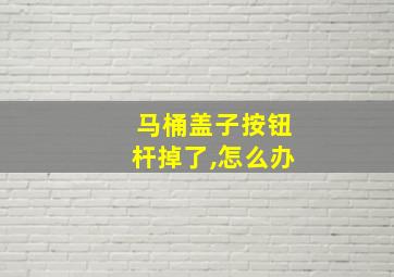 马桶盖子按钮杆掉了,怎么办